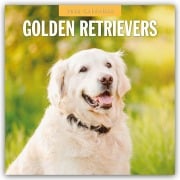 Golden Retrievers - Golden Retriever 2026 - 16-Monatskalender - Robin Red