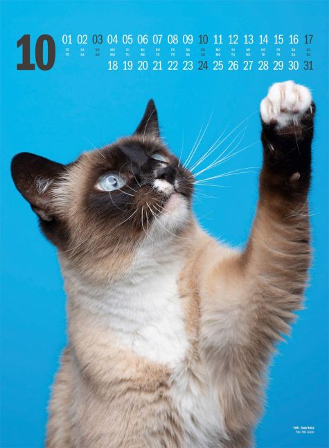 InsideView 10