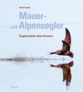 Cover-Bild zum Titel 'Mauer- und Alpensegler' von 'Alfred Engeler'