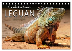 Cover-Bild zum Titel 'Wunderschöner Leguan (Tischkalender 2026 DIN A5 quer), CALVENDO Monatskalender' von 'Peter Roder'