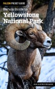 Cover-Bild zum Titel 'Nature Guide to Yellowstone National Park' von 'Ann Simpson, Rob Simpson'