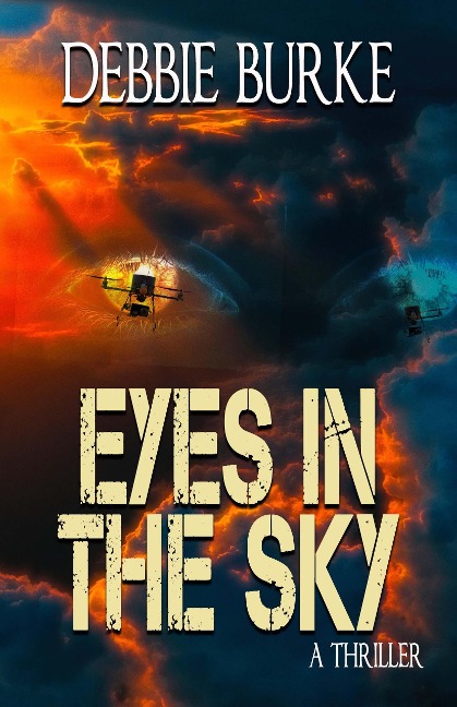 Eyes in the Sky (Tawny Lindholm Thrillers, #3) - Debbie Burke