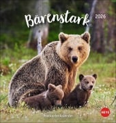 Bärenstark Postkartenkalender 2026 - 