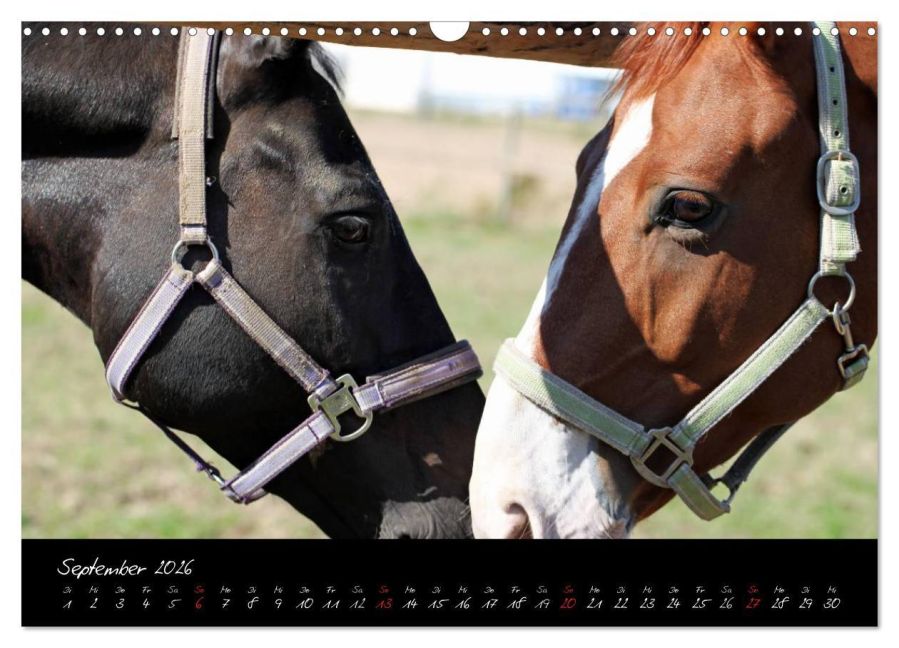 InsideView 14