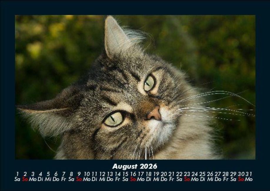 InsideView 12