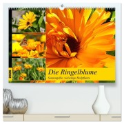 Die Ringelblume. Sonnengelbe, vielseitige Heilpflanze (hochwertiger Premium Wandkalender 2026 DIN A2 quer), Kunstdruck in Hochglanz - Rose Hurley
