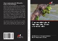 Cover-Bild zum Titel 'Flora medicinale di Nallamalais, Ghats orientali India' von 'Shali Saheb Thellagummatam, Ravi Prasad Rao Boyina'