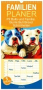 Familienplaner 2025 - Pit Bulls und Familie. Bunte Bull Breed Schönheiten mit 5 Spalten (Wandkalender, 21 x 45 cm) CALVENDO - Rose Hurley