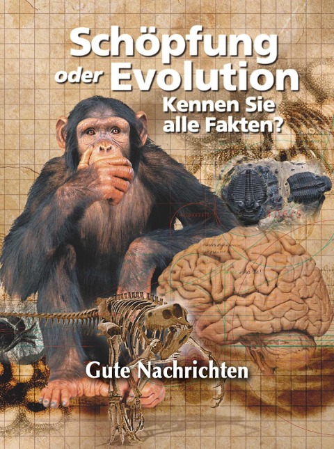 Schöpfung oder Evolution: Kennen Sie alle Fakten? - Gutenachrichten