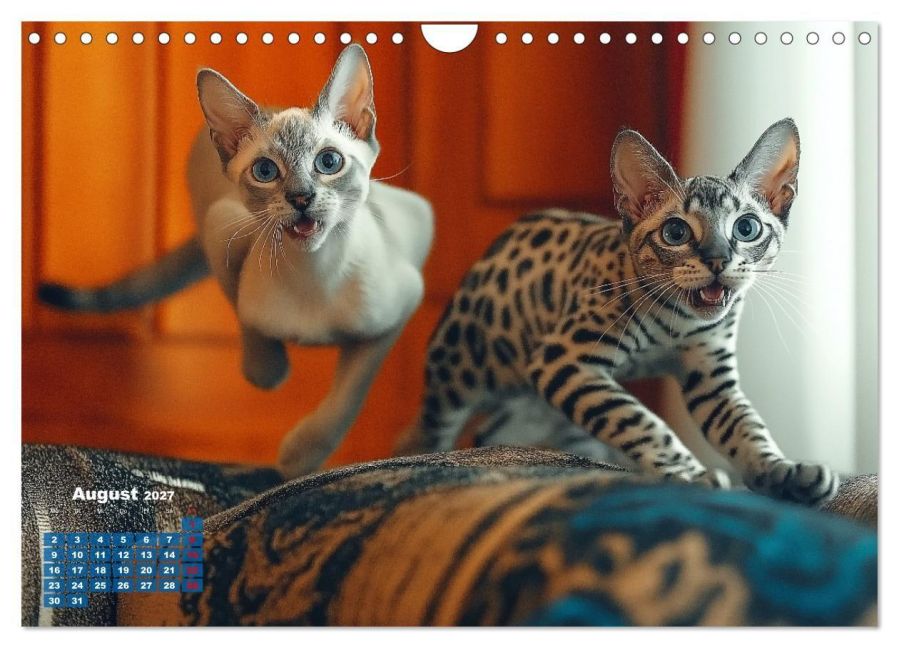 InsideView 13