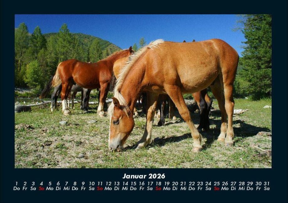 InsideView 5