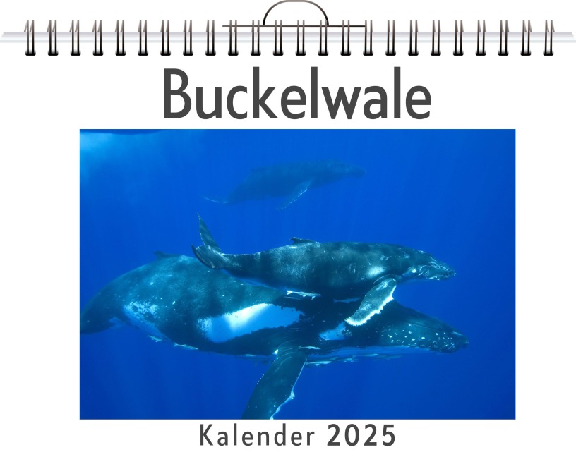 Buckelwale - Lena Klein
