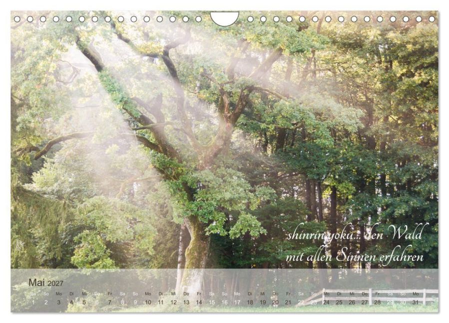 InsideView 10
