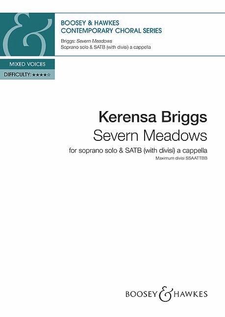 Severn Meadows - Kerensa Briggs