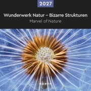 Cover-Bild zum Titel 'Wunderwerk Natur - Bizarre Strukturen - KUNTH Broschurkalender 2027' von ''