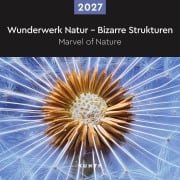 Cover-Bild zum Titel 'Wunderwerk Natur - Bizarre Strukturen - KUNTH Broschurkalender 2027' von ''