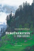 Cover-Bild zum Titel 'Bergünerstein' von 'Antonia Bertschinger'