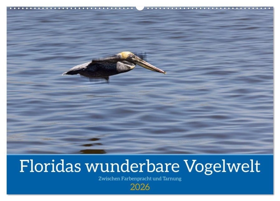 Floridas wunderbare Vogelwelt (Wandkalender 2026 DIN A2 quer), CALVENDO Monatskalender - Andreas Klesse