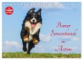 Berner Sennenhunde in Action (Tischkalender 2025 DIN A5 quer), CALVENDO Monatskalender - Sigrid Starick