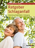 Ratgeber Schlaganfall - Eberhard J. Wormer
