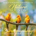 Cover-Bild zum Titel 'Birdsymphony' von 'Various'