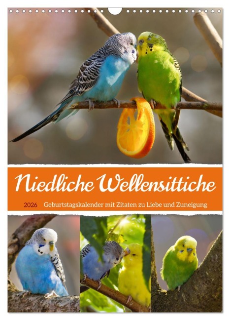 Niedliche Wellensittiche (Wandkalender 2026 DIN A3 hoch), CALVENDO Monatskalender - Sabine Löwer
