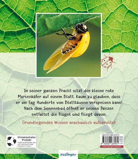 InsideView 6