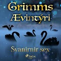 Cover-Bild zum Titel 'Svanirnir sex' von 'Grimmsbræður'