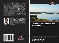 Cover-Bild zum Titel 'Diversità dei pesci e dei molluschi' von 'Pothuraju Ramesh, Lakkoju Nischal, Tummala Suguna'