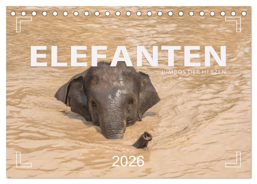 ELEFANTEN Jumbos der Herzen (Tischkalender 2026 DIN A5 quer), CALVENDO Monatskalender - Mario Weigt