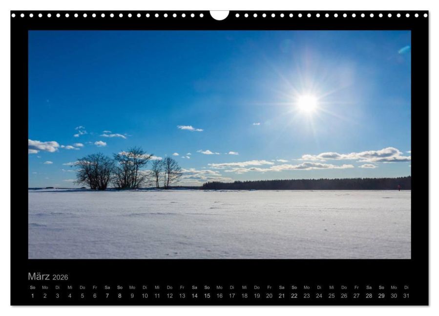 InsideView 8
