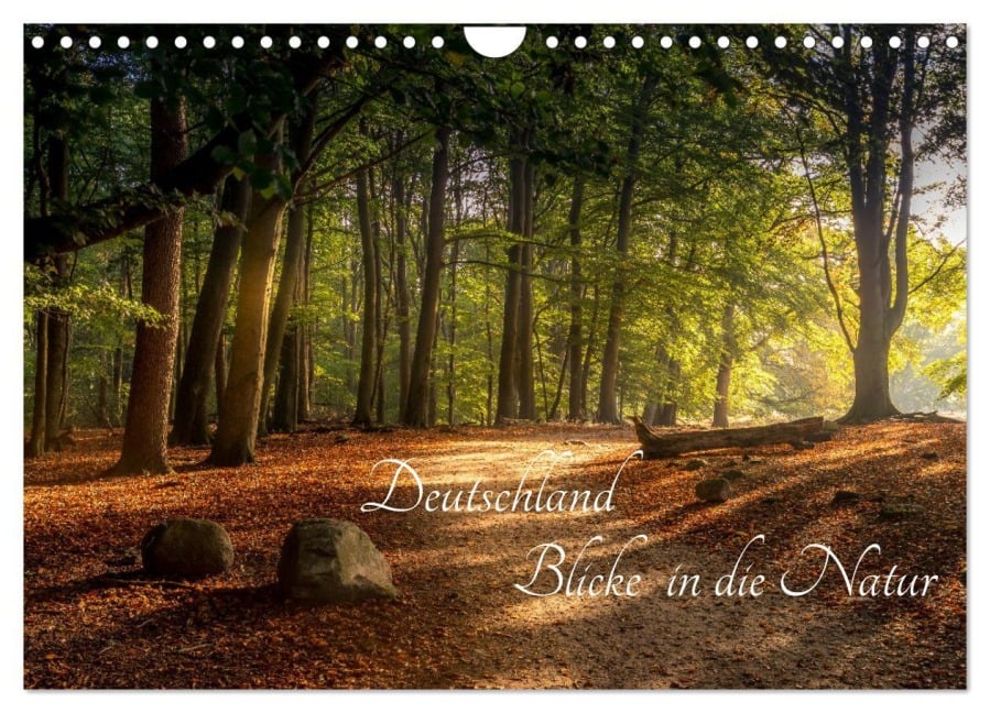Deutschland Blicke in die Natur (Wandkalender 2026 DIN A4 quer), CALVENDO Monatskalender - Renee Söhner