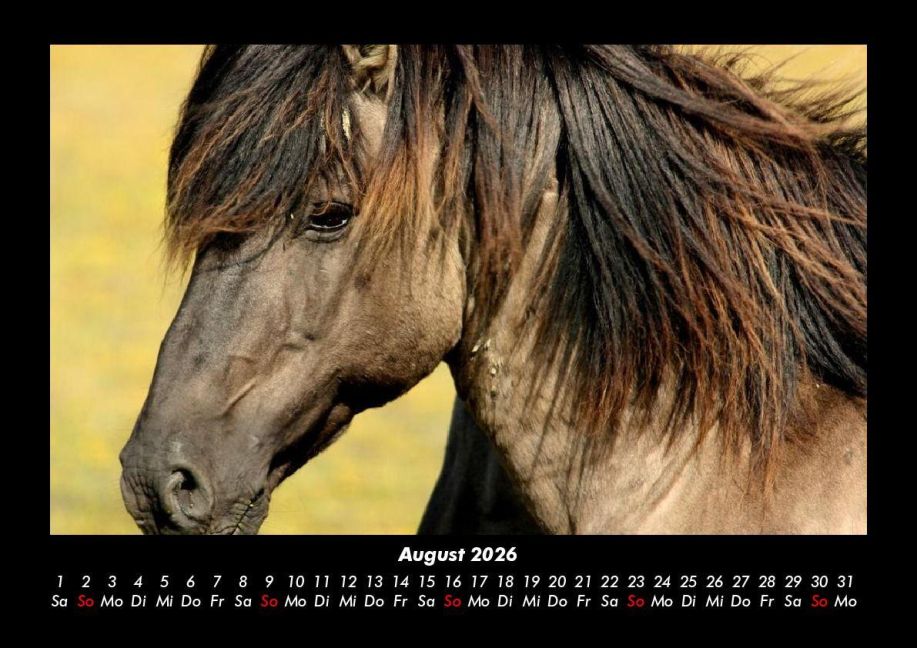 InsideView 12