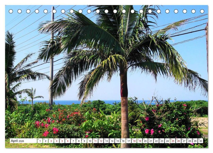 InsideView 9