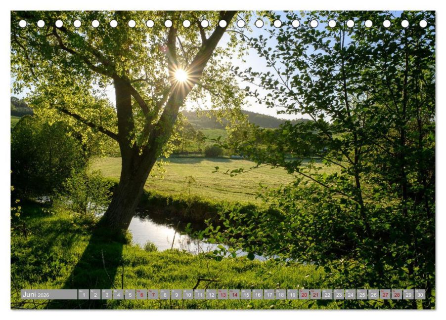 InsideView 11