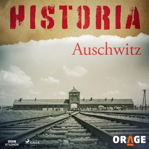 Auschwitz - Orage