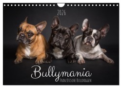 Cover-Bild zum Titel 'Bullymania - Französische Bulldoggen (Wandkalender 2026 DIN A4 quer), CALVENDO Monatskalender' von 'Silke Gareis (SCHNAPP-Schuss)'