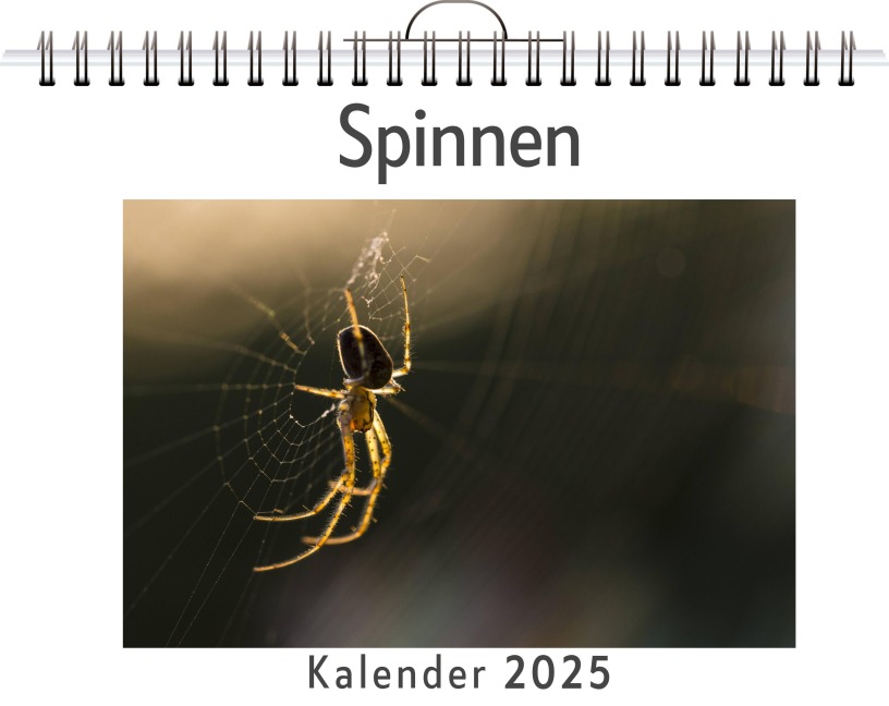 Spinnen - Noah Wolf