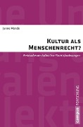 Cover-Bild zum Titel 'Kultur als Menschenrecht?' von 'Janne Mende'