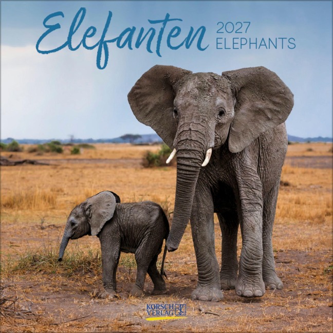 Elefanten 2027 - 