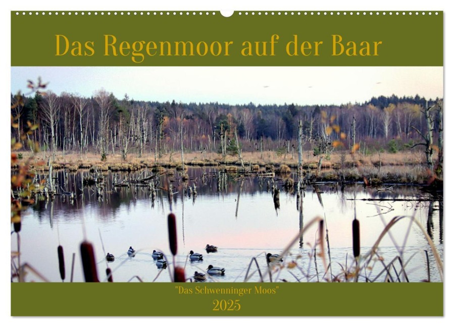 Das Regenmoor auf der Baar (Wandkalender 2025 DIN A2 quer), CALVENDO Monatskalender - Thorsten Kubisch