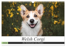 Cover-Bild zum Titel 'Welsh Corgi - Der Kobold unter den Hunden (Wandkalender 2026 DIN A3 quer), CALVENDO Monatskalender' von 'Maria Ahrens'
