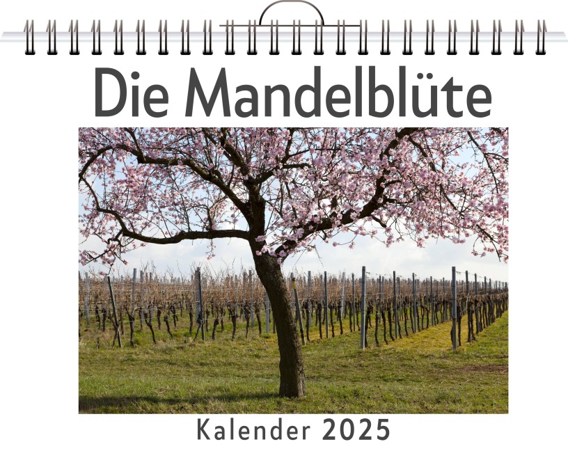 Die Mandelblüte - Olivia Werner
