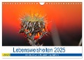 Lebensweisheiten 2025 (Wandkalender 2025 DIN A4 quer), CALVENDO Monatskalender - Michis Fotogalerie