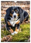 Cover-Bild zum Titel 'Entlebucher Sennenhunde begleiten Sie durch das Jahr (Wandkalender 2026 DIN A4 hoch), CALVENDO Monatskalender' von 'SchnelleWelten SchnelleWelten'