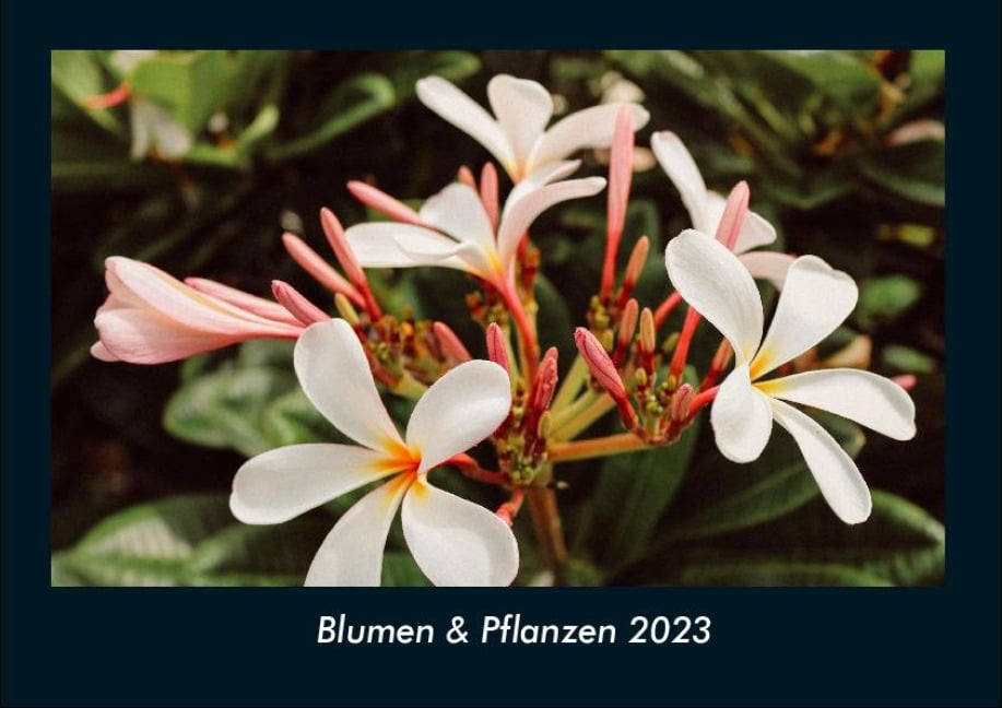 Blumen & Pflanzen 2023 Fotokalender DIN A4 - Tobias Becker