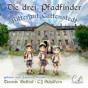 Cover-Bild zum Titel 'Die drei Pfadfinder' von 'Dennis Beitzel, Cj Schäfers'
