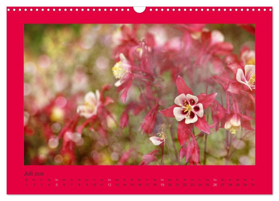 InsideView 12