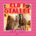 Cover-Bild zum Titel 'Eld i stallet' von 'Berit Härd'