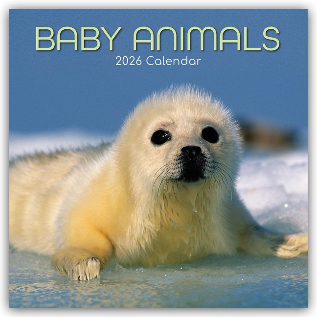 Baby Animals - Tierkinder 2026 - 16-Monatskalender - Gifted Stationery Co. Ltd